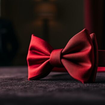 découvrez la signification symbolique du nœud papillon rouge en psychologie. explorez son impact sur l'image de soi, l'affirmation personnelle et son rôle dans les interactions sociales, tout en révélant les messages subtils que ce symbole peut transmettre.